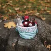 Вальдорфские звери