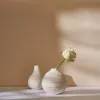 Вазы