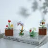 Мини растения и цветы