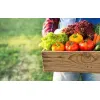 Растительная фермерская продукция