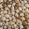 Ракушки морские и товары из ракушек