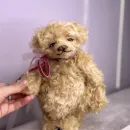 Коллекционный мишка Тедди Милки