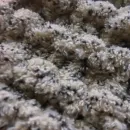 Шапка светло - бежевая вязаная на спицах