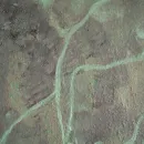 Интерьерная картина BLOSSOM