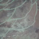 Интерьерная картина BLOSSOM