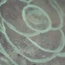 Интерьерная картина BLOSSOM