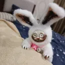 Крези-Кролик