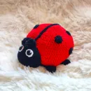 Божья коровка