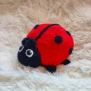 Божья коровка