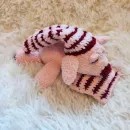 Хрюша Сплюша