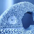 Скульптура "Слон"