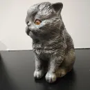 КОТИК ДЕКОРАТИВНЫЙ Котик декоративный