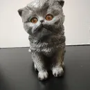 КОТИК ДЕКОРАТИВНЫЙ Котик декоративный