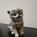 КОТИК ДЕКОРАТИВНЫЙ Котик декоративный