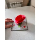 Поздравительная POP-UP открытка, выполненная в дизайне "KAGISIPPO"