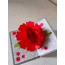 Поздравительная POP-UP открытка, выполненная в дизайне "KAGISIPPO"