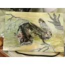 Картина "Молодой сом"