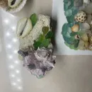 Сувенирные магниты