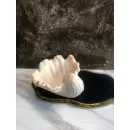 Шкатулка из гипса ракушка