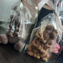 МЫЛО РУЧНОЙ РАБОТЫ "МИШКА ИЗ РОЗ" Мыло ручной работы "Мишка из роз"