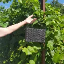 Сумка корзинка плетеная из бумажной лозы