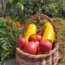 Корзина плетеная