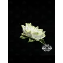 Резинка для волос ручной работы "Кея" жёлтый. Единственный экземпляр. Цветы Канзаши на волосы Ваши.