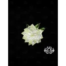 Резинка для волос ручной работы "Кея" жёлтый. Единственный экземпляр. Цветы Канзаши на волосы Ваши.