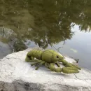 Знак зодиака Рак, игрушка ручной работы