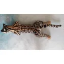 Интерьерная реалистичная игрушка ручной работы - кошка породы "Маргай"