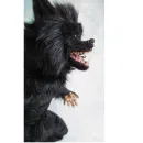 Реалистичная авторская игрушка ручной работы вервольф, волк-оборотень