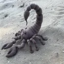 Скорпион, игрушка ручной работы