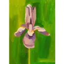 Картина Ирис на зеленом фоне маслом