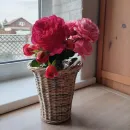 Корзина плетеная для цветов