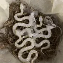 Именная тарелка из эпоксидной смолы