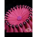 Резинка для волос ручной работы "Зефир" розовый. Единственный экземпляр. Цветы Канзаши на волосы Ваши.