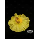 Резинка для волос ручной работы "Фульгида" желтый. Единственный экземпляр. Цветы Канзаши на волосы Ваши.