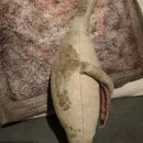 Льняная игрушка, заяц с сердцем