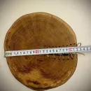 Дубовый спил для сервировки стола