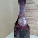 Короб для вина. Виница