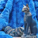 Хранительница очага Богиня " Бастет" и руки " Хранители равновесия "