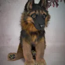 Авторская игрушка ЩЕНОК ОВЧАРКИ