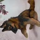 Авторская игрушка ЩЕНОК ОВЧАРКИ