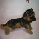 Авторская игрушка ЩЕНОК ОВЧАРКИ