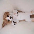 Авторская игрушка ЩЕНОК