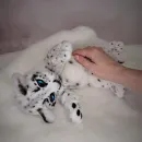 Авторская игрушка БАРСИК