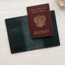 Обложка для паспорта из натуральной кожи "Гармония в золоте"