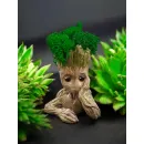 Кашпо "Я есть Грут" со стабилизированным мхом