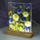 Картина с подсветкой Васильки и ромашки