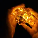 Кицунэ-ночник